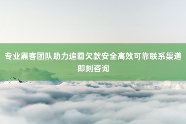 专业黑客团队助力追回欠款安全高效可靠联系渠道即刻咨询