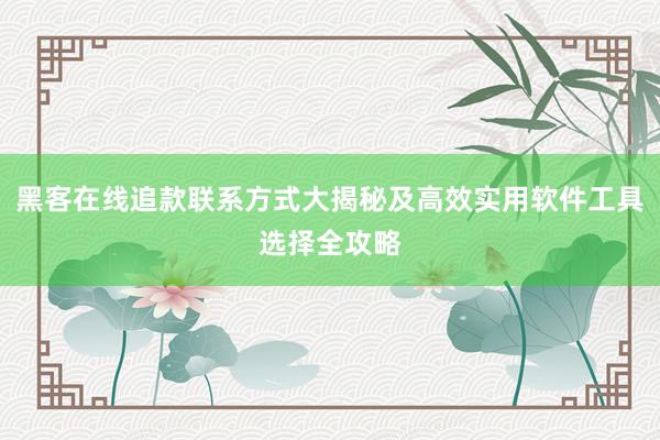 黑客在线追款联系方式大揭秘及高效实用软件工具选择全攻略