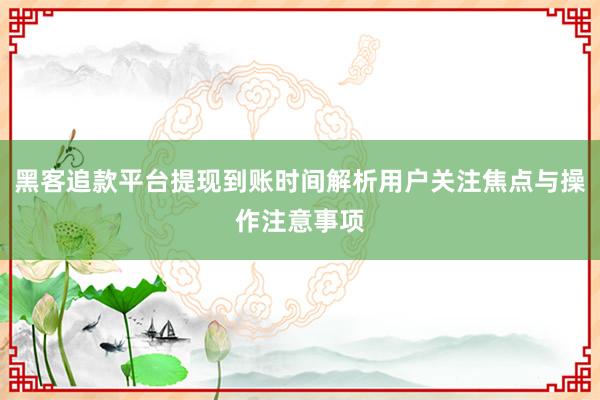 黑客追款平台提现到账时间解析用户关注焦点与操作注意事项