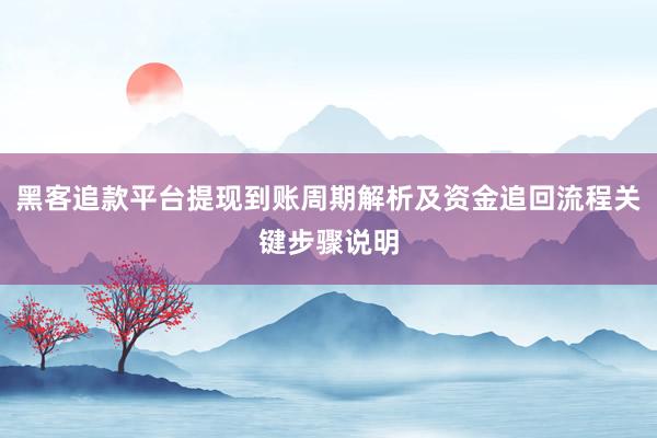 黑客追款平台提现到账周期解析及资金追回流程关键步骤说明