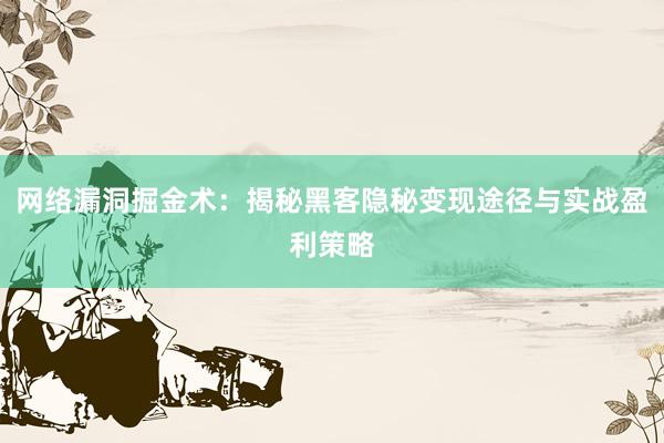 网络漏洞掘金术：揭秘黑客隐秘变现途径与实战盈利策略
