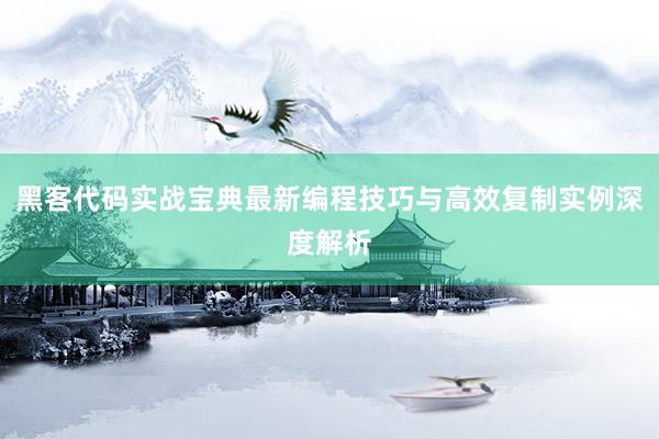 黑客代码实战宝典最新编程技巧与高效复制实例深度解析