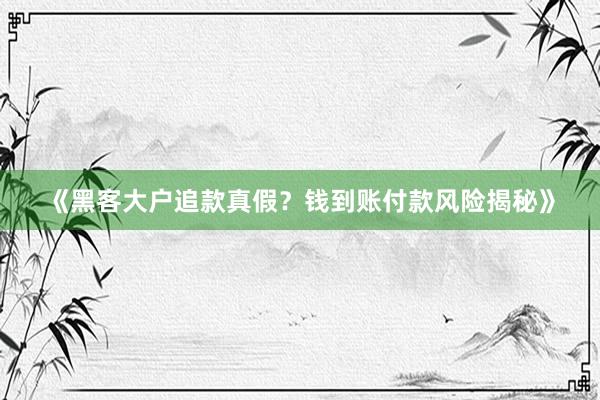 《黑客大户追款真假？钱到账付款风险揭秘》